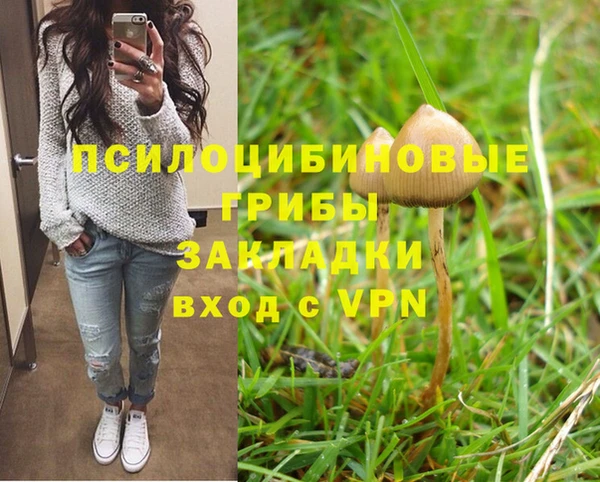 spice Магас