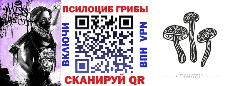 Галлюциногенные грибы Magic Shrooms  мега ссылка  Шали 