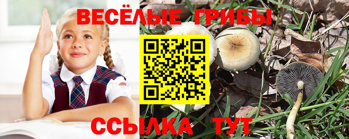 АМФЕТАМИН Шали