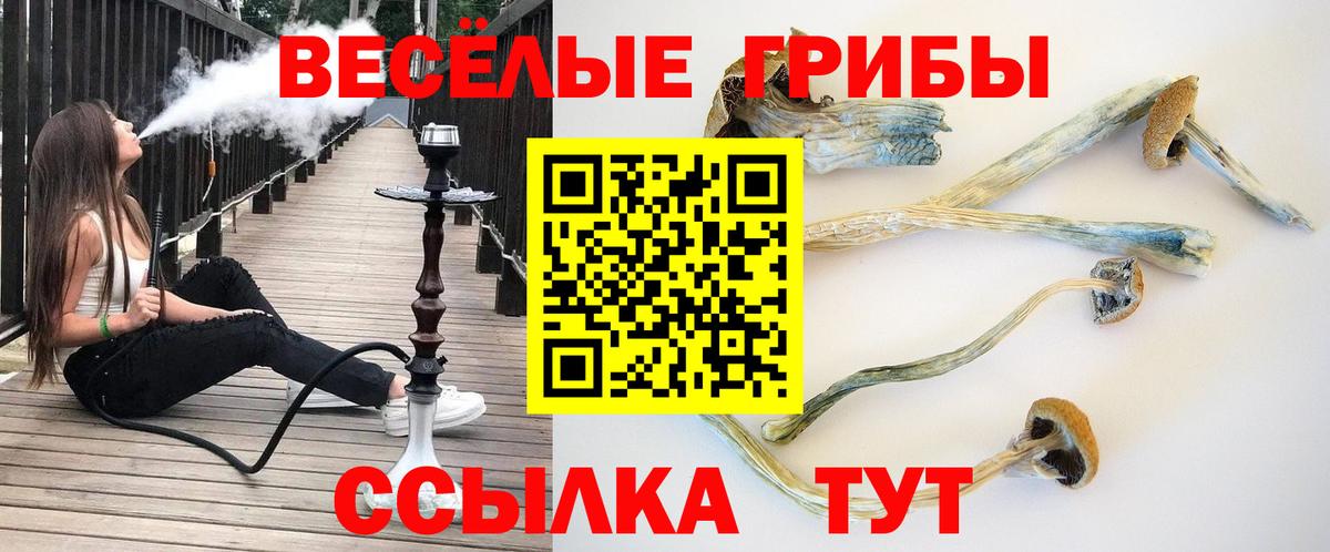 Галлюциногенные грибы мицелий Шали