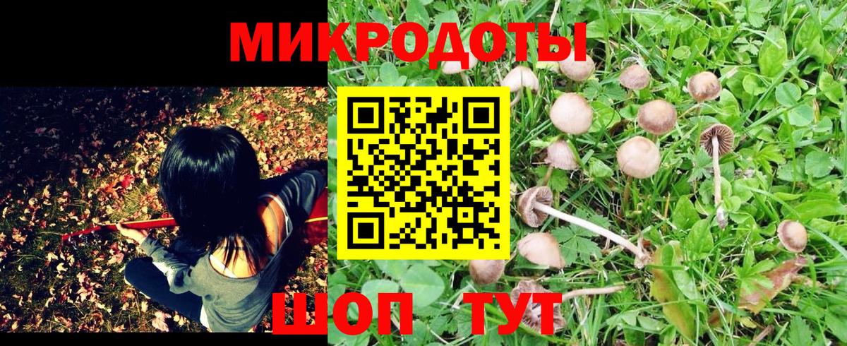 Галлюциногенные грибы мицелий  цена наркотик  Шали  Вход с VPN 